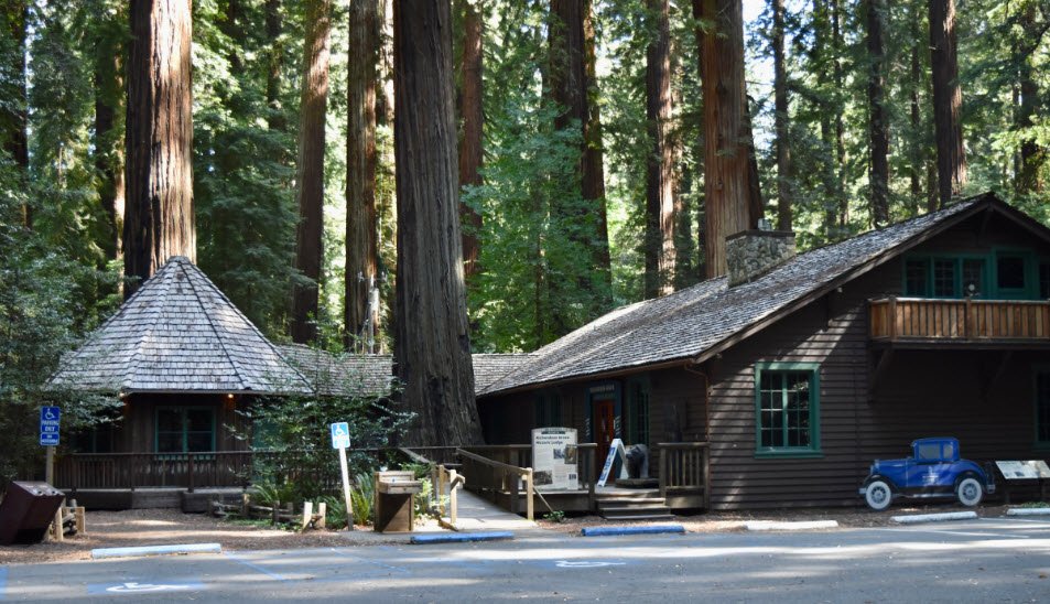 Richardson Grove State Park, California, USA